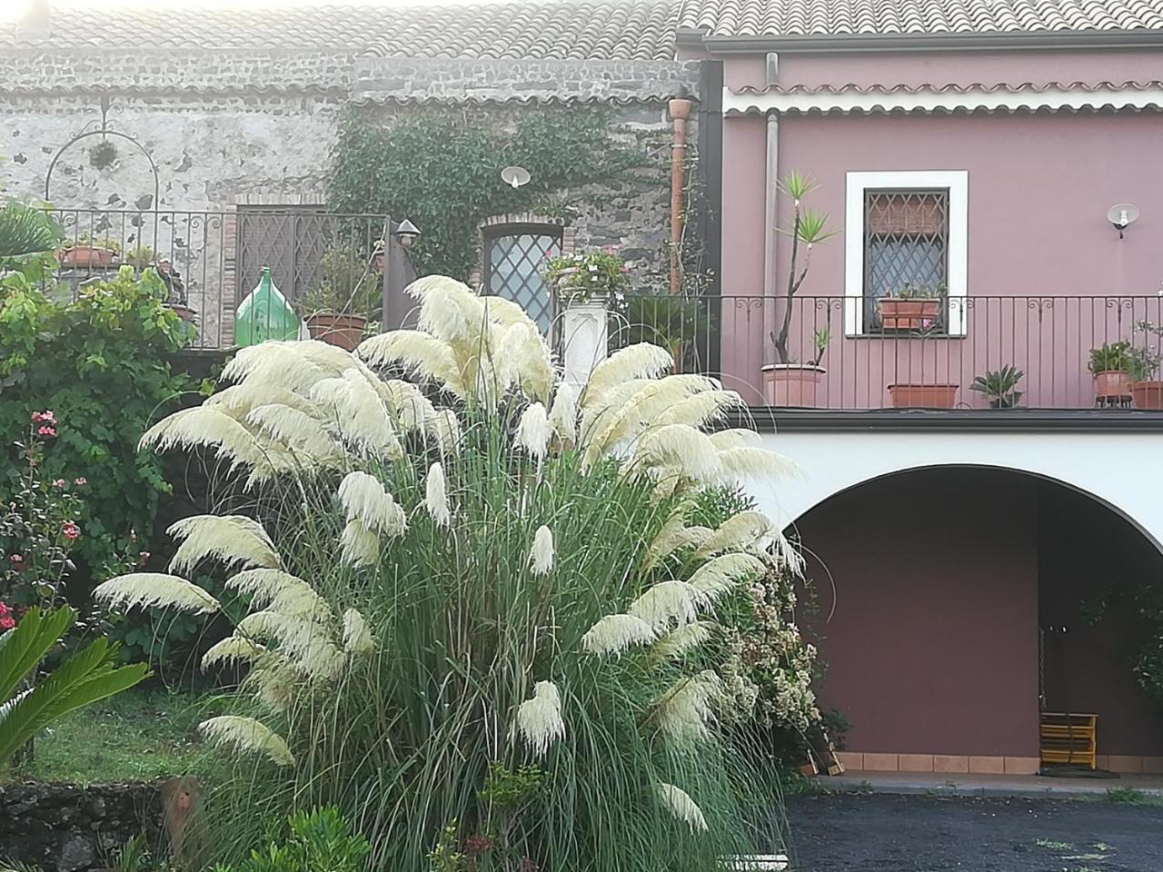 Etnante Bed & Breakfast Zafferana Etnea Exterior photo